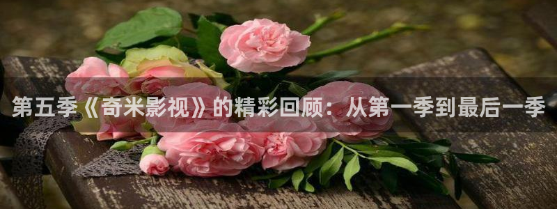 白云视频app：第五季《奇米影视》的精彩回顾：从第一季到最后一季