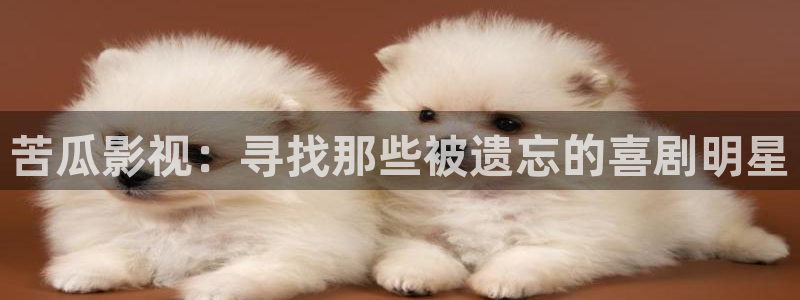 白云机场视频：苦瓜影视：寻找那些被遗忘的喜剧明星