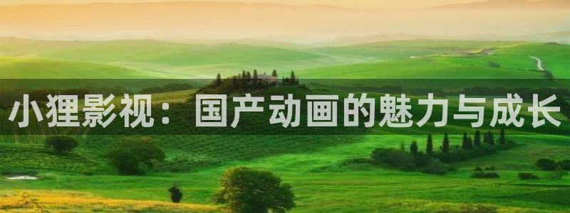 白云视频免费观看电视剧全集：小狸影视：国产动画的魅力与成长