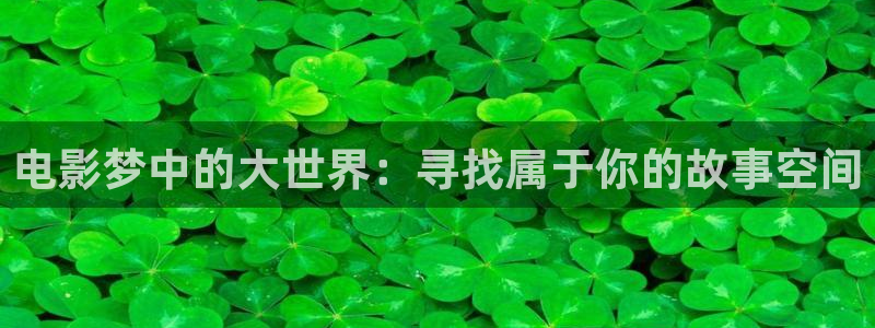 白云视频免费版