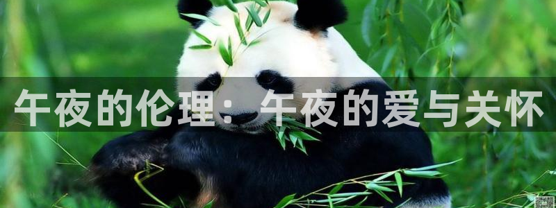 白云视频免费版