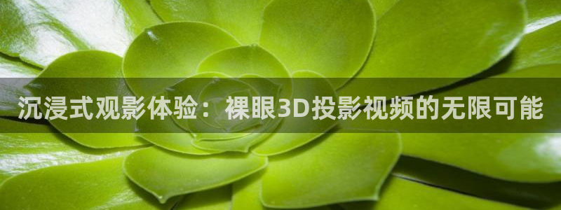 白云视频在线下载