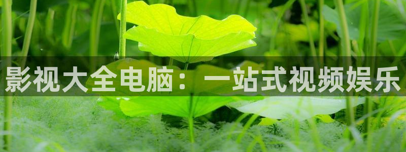 白云猪手视频：影视大全电脑：一站式视频娱乐
