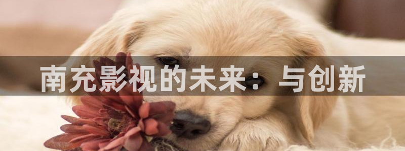 白云机场 视频