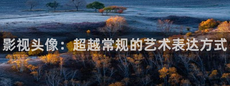 白云猪手视频：影视头像：超越常规的艺术表达方式