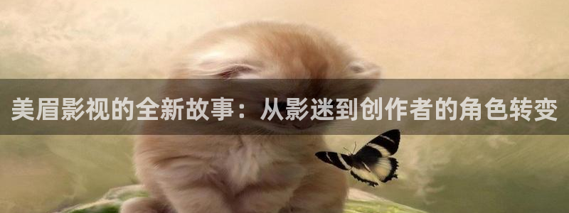 白云视频追剧