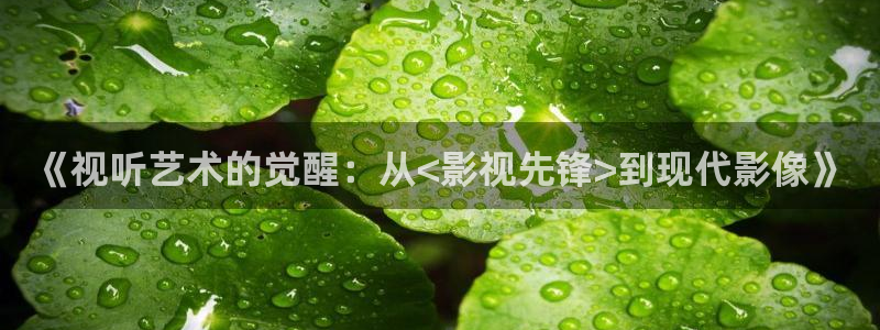 白云视频app下载官方：《视听艺术的觉醒：从<影视先锋>到现代影像》
