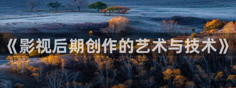 白云视频免费：《影视后期创作的艺术与技术》