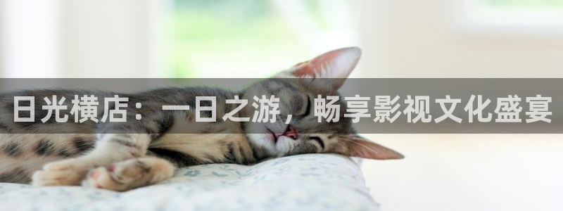 好看的白云视频